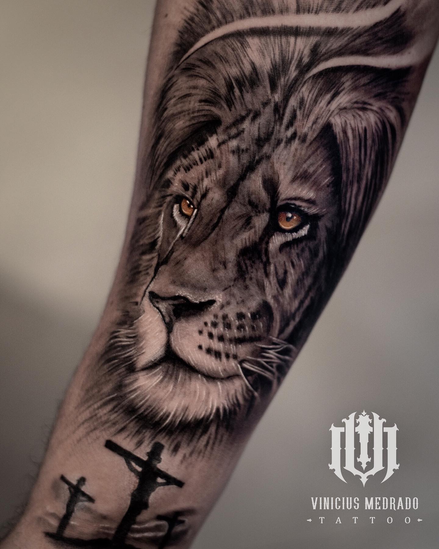 viniciusmedradotattoo-20241101-0002