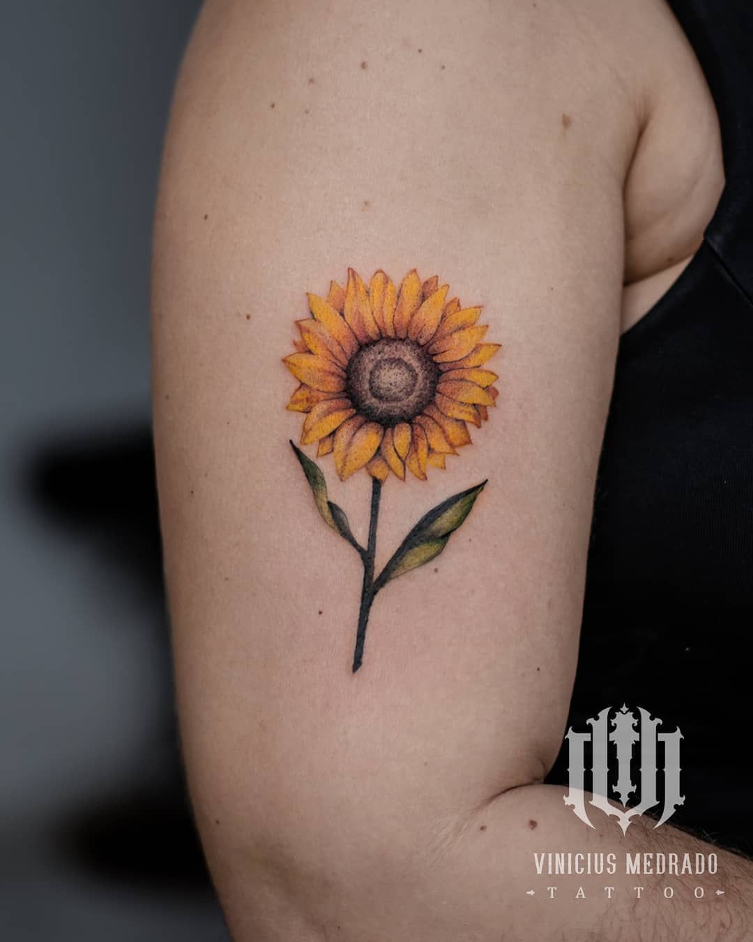 viniciusmedradotattoo-20241101-0003